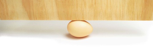 Egg safely stopping automatic chicken door from closing